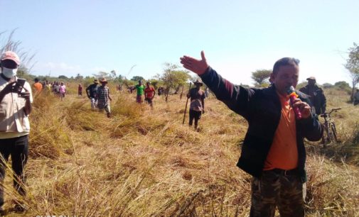 TONTOLO IAINANA SY FAMPANDROSOANA LOVAINJAFY : Nananteraka aro afo ny voly hazo ireo mponin’ny Mafaijijo, Maintirano