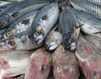 FISHERIES TRANSPARENCY INITIATIVE : Informations pour la transparence de la pêche marine et le développement durable Madagascar