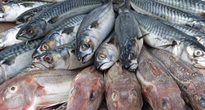 FISHERIES TRANSPARENCY INITIATIVE : Informations pour la transparence de la pêche marine et le développement durable Madagascar