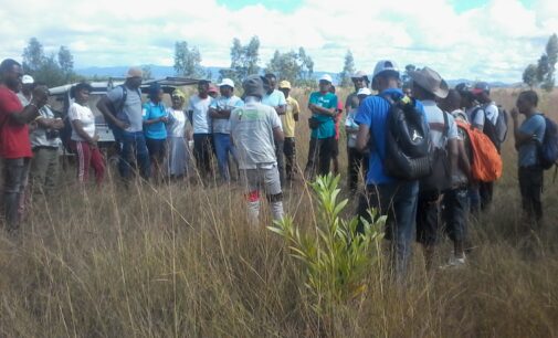 LA GIZ ET JUSTDIGGIT AVEC LE PROJET F4F : relever le défi de la restauration des forêts à Madagascar en faisant de la région de Diana une zone prioritaire