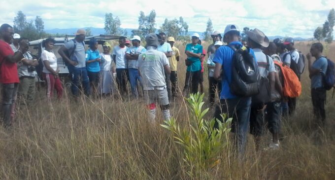 LA GIZ ET JUSTDIGGIT AVEC LE PROJET F4F : relever le défi de la restauration des forêts à Madagascar en faisant de la région de Diana une zone prioritaire