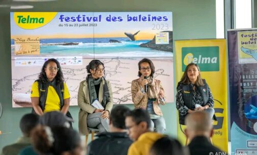 FESTIVAL DES BALEINES ANY SAINTE-MARIE: Hiverina indray …