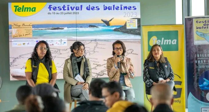 FESTIVAL DES BALEINES ANY SAINTE-MARIE: Hiverina indray …