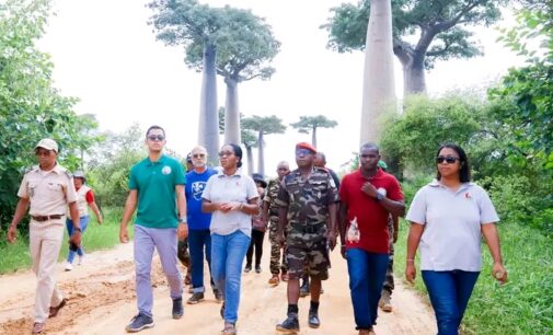 ALLEES DES BAOBABS MORONDAVA: Zanakazo zanatany miisa 1960 no voavoly