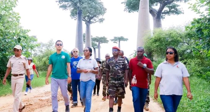 ALLEES DES BAOBABS MORONDAVA: Zanakazo zanatany miisa 1960 no voavoly